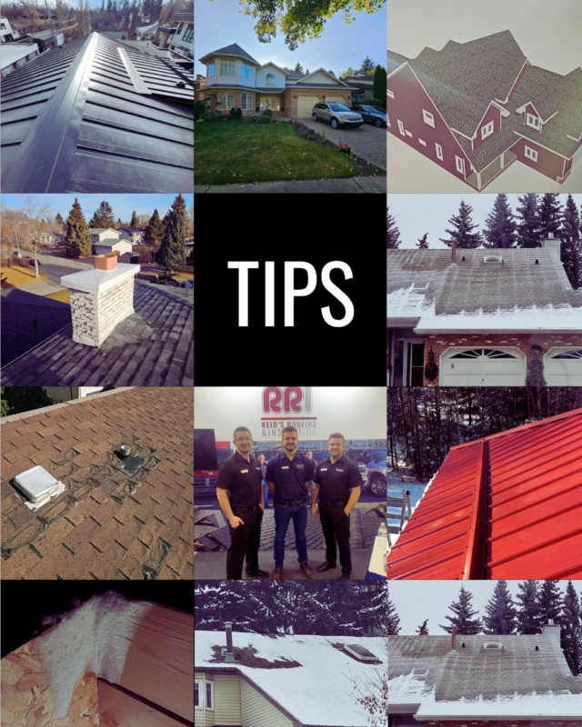 🌱 Spring Roofing Tip: Boost Energy Efficiency & Save on Bills! 🌞

Spring is the perfect time to give your roof a little love before that summer heat rolls in! ☀️

Here are 3 easy ways to prep your roof for a more energy-efficient home:
✅ Check for winter damage – Snow & ice can leave behind cracks or leaks 🧊
✅ Upgrade your insulation – A well-insulated attic means less energy waste ♻️
✅ Book a spring inspection – Catch small issues before they become big repairs! 🔍

A healthy roof = lower bills and a greener, more comfortable home. 🌿
We’ve got your back — give us a call or hit the link in our bio to book!

📞 780-460-5866
📍 Serving Edmonton, St. Albert & Sherwood Park

#SpringRoofingTips #EnergyEfficientHome #RoofInspection #AlbertaRoofing #EdmontonRoofing #SustainableLiving #CustomerTrust #ReidsRoofingAndInsulation #RoofingExperts #HomeEfficiency #SupportLocalRoofers #YEGHomes