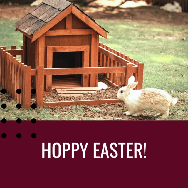 🌸🐰 Hoppy Easter from Reid’s Roofing! 🏡🔨

Spring has sprung, and just like finding hidden Easter eggs, you never know what surprises winter may have left behind on your roof! 🥚🌿

Now is the perfect time to schedule a spring roof inspection to catch any cracks, leaks, or missing shingles before April showers bring May flowers! 🌧️🌸

📞 Hop on over to our website or give us a call today for a free quote! Let’s make sure your home stays safe, dry, and egg-stra secure this season! 🏠✨

🐣 Happy Easter from our family to yours! 💛
📍 Proudly serving Edmonton & Alberta homes! 🇨🇦

#HappyEaster #SpringRoofCheck #EggcellentRoofing #EdmontonRoofing #ReidsRoofing #SpringReadyRoof