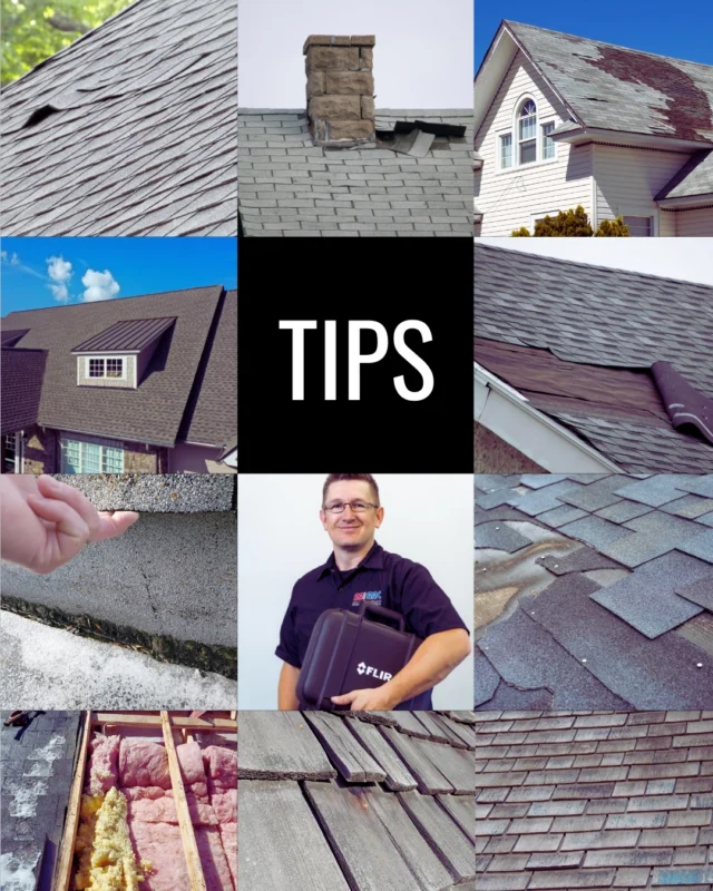 🛠️ Roofing Tip Tuesday 🛠️
Spring is the perfect time to inspect your shingles! 🧰

Look out for: 
🔹 Curling edges
🔹 Cracked or missing pieces
🔹 Granules in your gutters

These are signs it might be time to call in the pros. 👷‍♀️
Book a free assessment and get ahead of spring storms!

📞 780.460.5866
🔗 reidsroofing.net

#RoofingTipTuesday #SpringRoofCheck #YEGRoofing #ReidsRoofing #TrustTheExperts #HomeMaintenance #BuiltForCanada